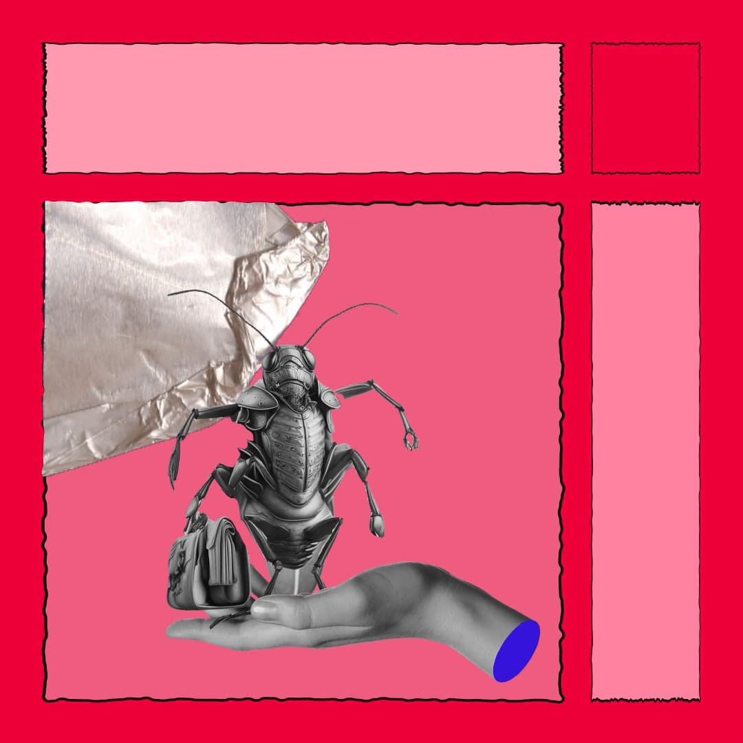 METAMORPHOSE #motiontober2024