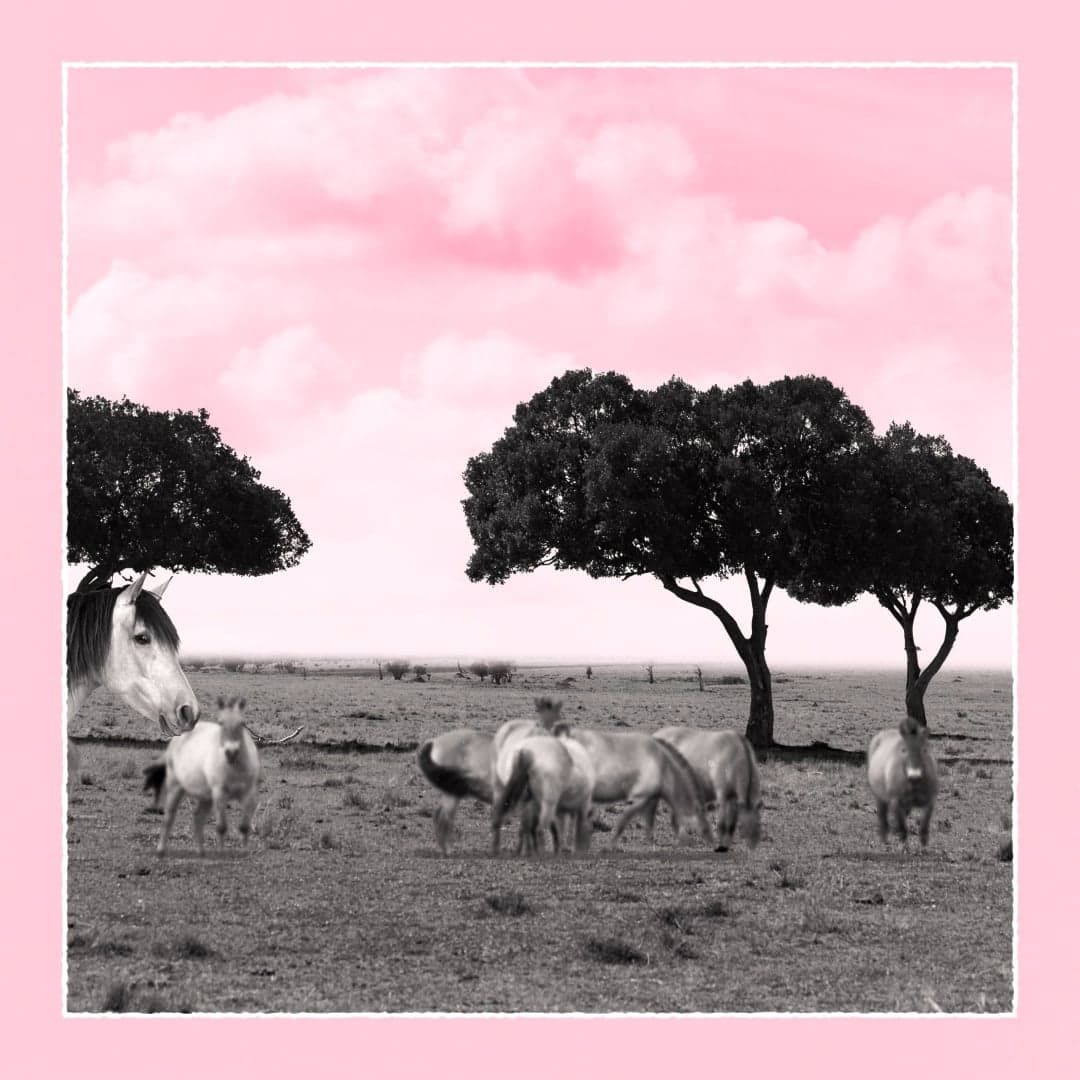 INCLUSIVITÉ #motiontober2024