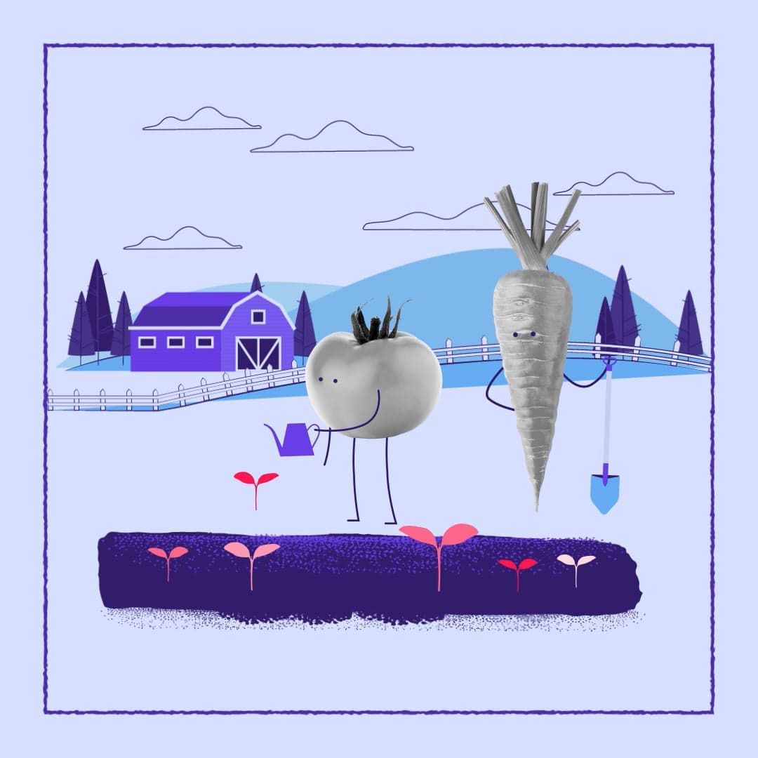 POTAGER #motiontober2024