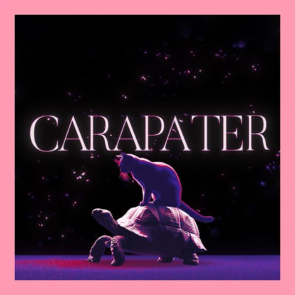 CARAPATER #motiontober2025