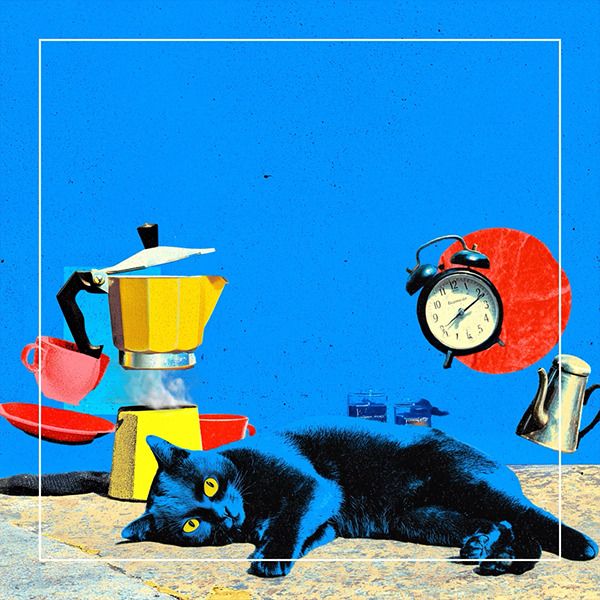 AMORPHE #motiontober2025